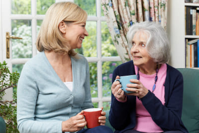 Woman Takes Time To Visit Senior Female Neighbor And Talk